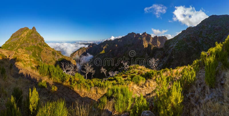Panorama - Pico Ruivo e Pico fanno Arierio - il Madera Portogallo fotografie stock libere da diritti Panorama - Pico Ruivo e Pico fanno Arierio - il Madera Portogallo fotografie stock libere da diritti