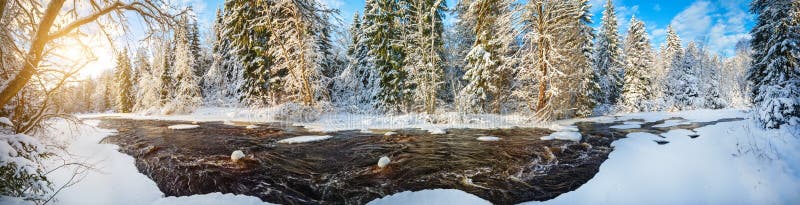 Panorama pięknej zimowej rzeki i lasu fotografia royalty free
