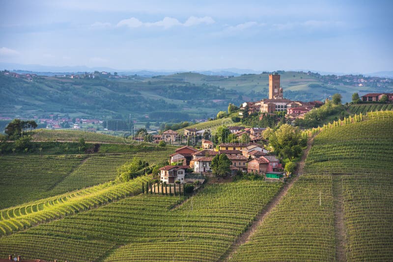 Panorama Podgórscy winnicy i Barbaresco miasteczko zdjęcie stock Panorama Podgórscy winnicy i Barbaresco miasteczko zdjęcie stock
