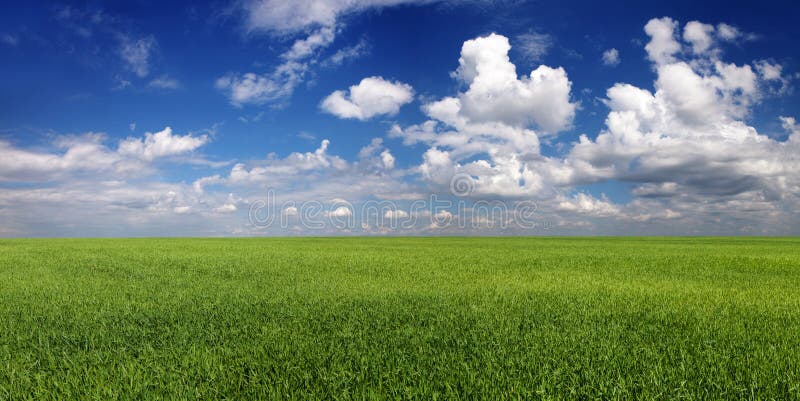 Panorama Ruhiger bewölkter Himmel über grünem Feld stockbilder Panorama Ruhiger bewölkter Himmel über grünem Feld stockbilder