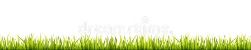 Panorama sans couture d'herbe d'été Pelouse de fines herbes de printemps vert Lignes horizontales de décoration de champ ou de pr illustration libre de droits Panorama sans couture d'herbe d'été Pelouse de fines herbes de printemps vert Lignes horizontales de décoration de champ ou de pr illustration libre de droits
