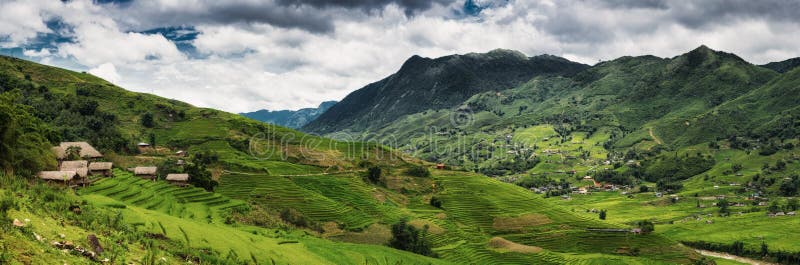 Panorama Scenery View of Agriculture Rice Fields, Nature Landscape of Rice Terrace Field at Sapa, Vietnam. Panorama Countryside