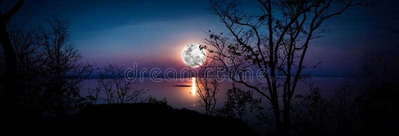 Panorama Schattenbilder des Holzes und des schönen Moonrise, helles fu lizenzfreie stockfotografie Panorama Schattenbilder des Holzes und des schönen Moonrise, helles fu lizenzfreie stockfotografie