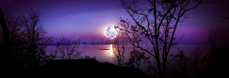 Panorama. Silhouettes of woods and beautiful moonrise, bright full moon would make a great picture. Outdoors. stock photo Panorama. Silhouettes of woods and beautiful moonrise, bright full moon would make a great picture. Outdoors. stock photo