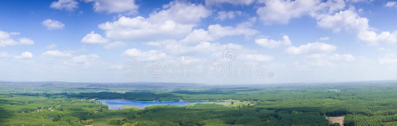 Panorama sky cloud and forest.