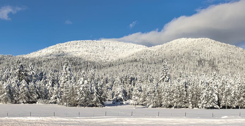 Panorama of snow covered mountain.