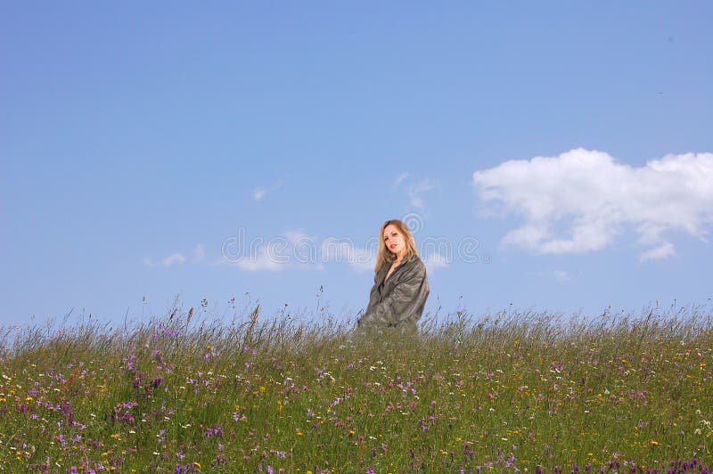 Panorama of summer field