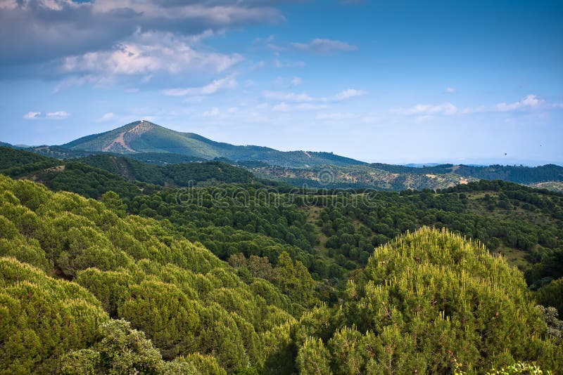 Panorama of surrounding olive groves by Villanueva stock photos