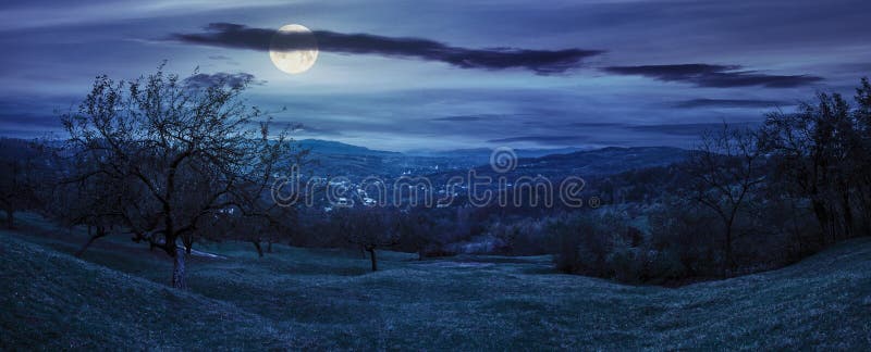 Green hillside of an apple orchard near the mountain village at night in full moon light. Green hillside of an apple orchard near the mountain village at night in full moon light