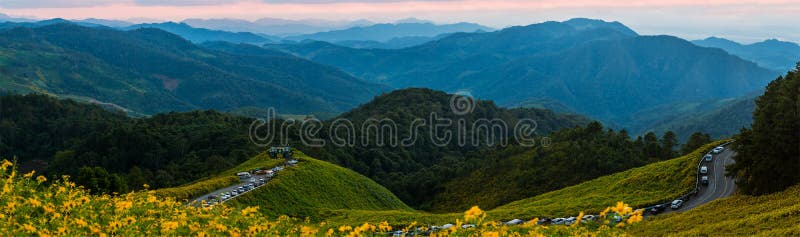 Panorama vede bellissimi paesaggi di fiori gialli thung bua tong mae hong son thailand fotografia stock libera da diritti