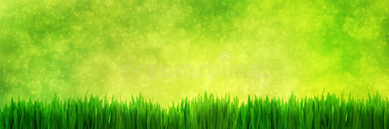 Panorama verde proaspătă privind mediul natural de ceață față stock image
