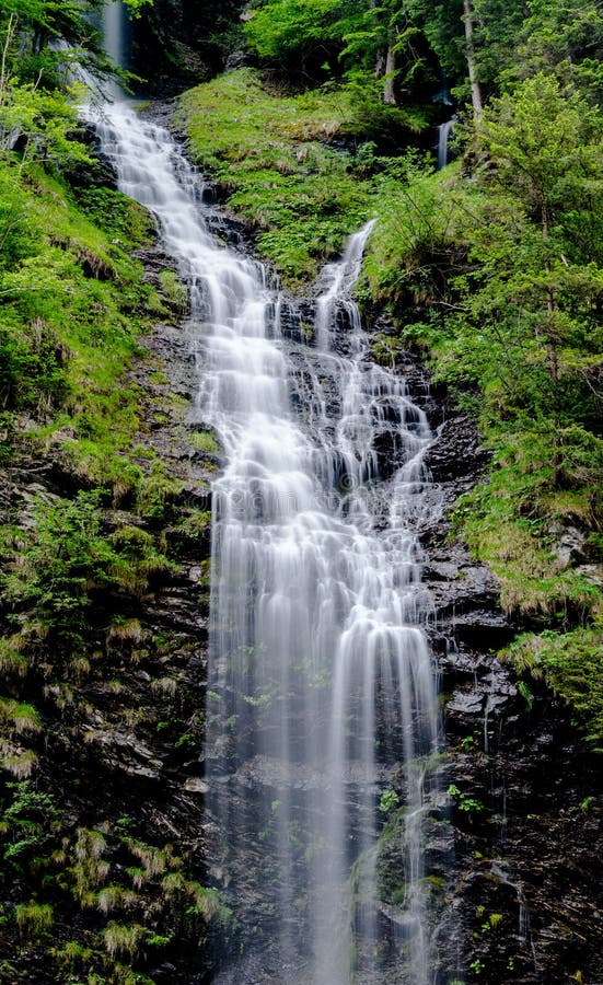 Panorama vertical de haute cascade pittoresque dans le paysage vert luxuriant de forêt photo stock Panorama vertical de haute cascade pittoresque dans le paysage vert luxuriant de forêt photo stock