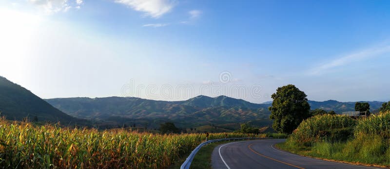 Panorama view and road to down hill with Corn fields wayside. Mountain landscape with mountain and blue sky