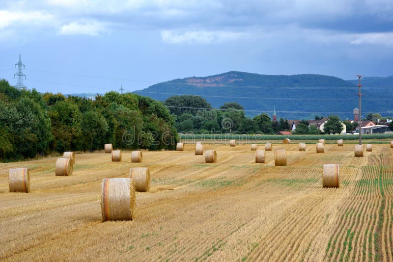 Panorama view of straw field with round dry hay bales in front of mountain range stock image Panorama view of straw field with round dry hay bales in front of mountain range stock image