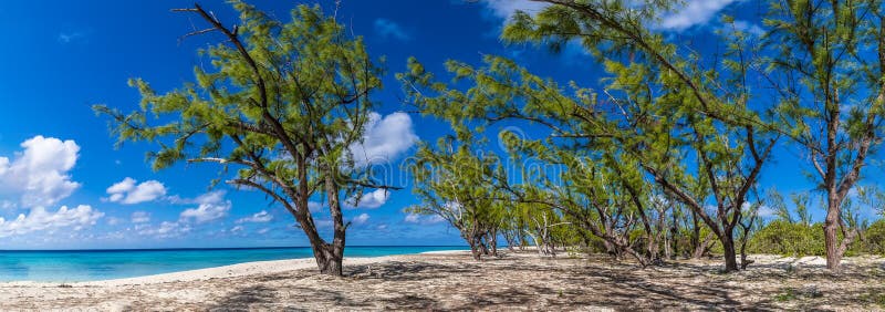 A View of the Shoreline at Barrouallie, Saint Vincent Stock Image ...