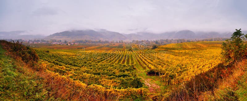 Panorama of Wachau valley. Colorful autumn in vine yards stock image Panorama of Wachau valley. Colorful autumn in vine yards stock image