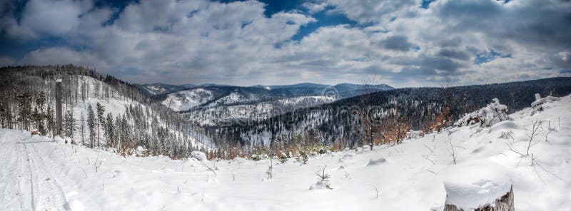 Panorama of the winter landscape in the mountains. Zywiec Beskids, Western Carpathians, Poland.