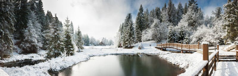 Panorama of a winter morning in the Carpathians