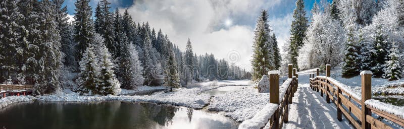 Panorama of a winter morning in the Carpathians