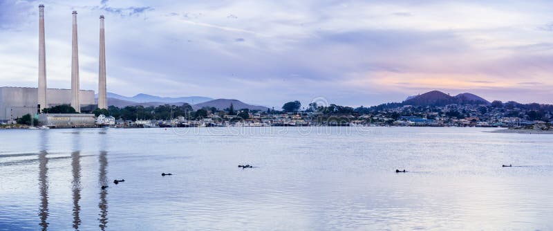 Panoramablick des Morro-Buchthafens bei Sonnenuntergang; Seeotter, die auf das ruhige Wasser schwimmen; Morro-Bucht, Kalifornien stockfoto Panoramablick des Morro-Buchthafens bei Sonnenuntergang; Seeotter, die auf das ruhige Wasser schwimmen; Morro-Bucht, Kalifornien stockfoto