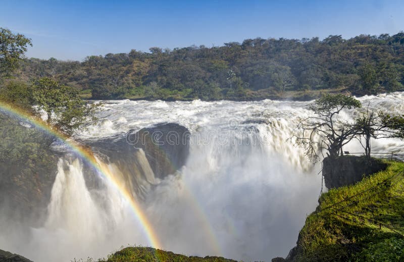 Panoramasicht auf den gewaltigen Wasserfall von Murchison Falls in Uganda lizenzfreie stockfotografie