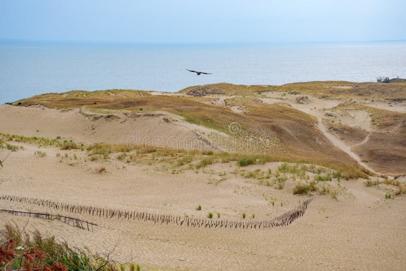 Panoramasicht auf die Sanddünen in Nida, Klaipeda, Litauen, Europa lizenzfreies stockfoto Panoramasicht auf die Sanddünen in Nida, Klaipeda, Litauen, Europa lizenzfreies stockfoto