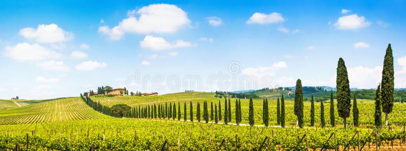 Panoramautsikt av det sceniska Tuscany landskapet med vingården i Chiantiregionen, Tuscany, Italien