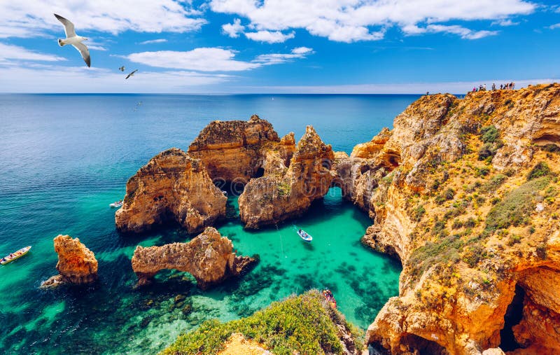 Panoramautsikten Ponta da Piedade med seagulls som flyger över, vaggar nära Lagos i Algarve, Portugal Klippan vaggar, seagulls oc