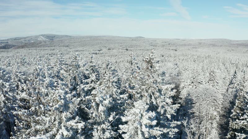 Panoramic aerial view of snow covered forest with Rogla ski resort in far background