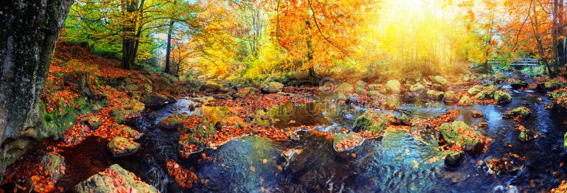Panoramic autumn landscape with forest stream. Fall nature background