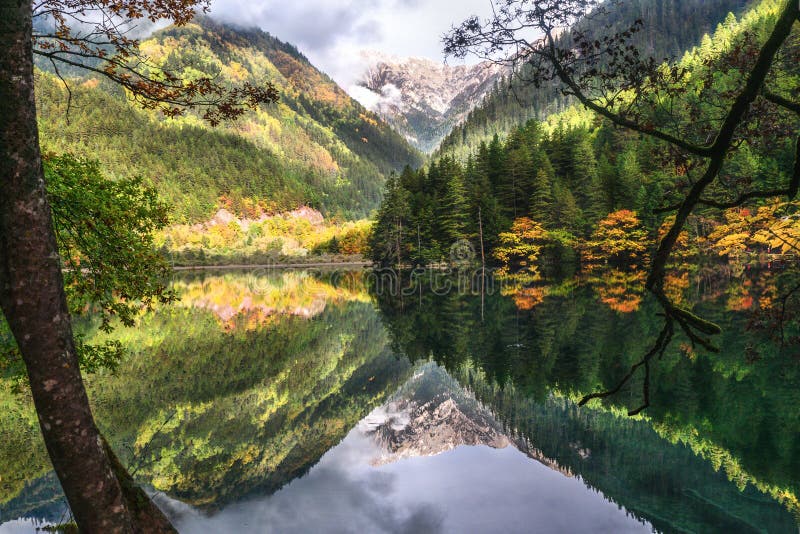 Landscape Of Mirror Lake And Forest At Jiuzhaigou National Park China