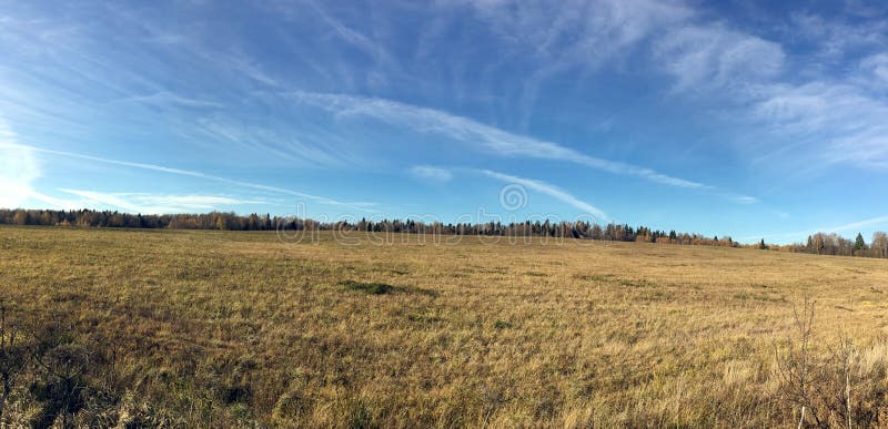 Panoramic countryside landscape with field and forest at far under beautiful blue sky with many white clouds in golden autumn