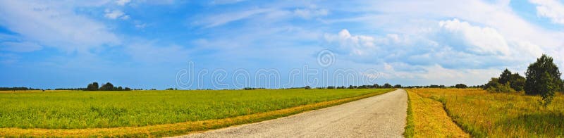 Panoramic countryside wide road view with trees behind. Rural summer landscape. Typical european pastoral meadow, pasture, field.