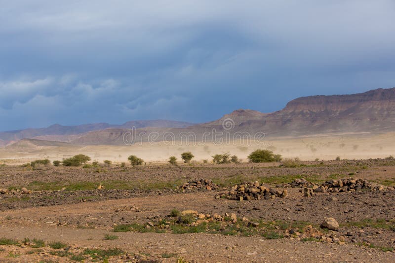 Panoramic dessert landscape