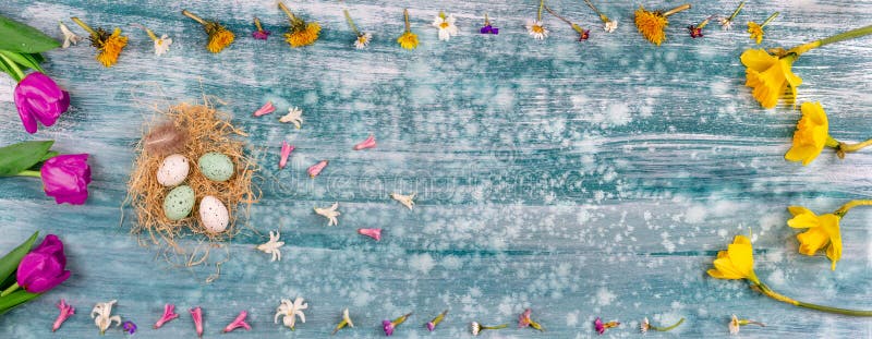 Panoramic Easter Nest with Eggs Next To Spring Flowers,panorama Banner