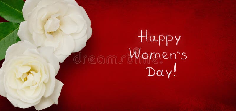 788 8 March Happy Women's Day Rose Stock Photos - Free & Royalty-Free Stock  Photos from Dreamstime