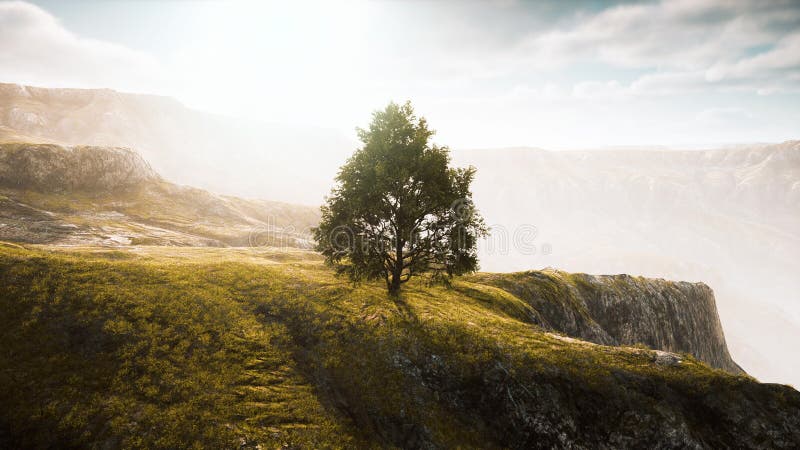 Panoramic landscape with lonely tree among green hills royalty free illustration