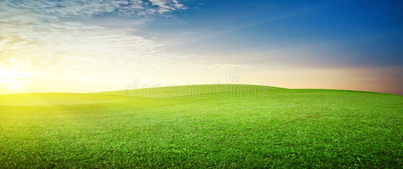 Panoramic meadow stock photo. Image of scenic, morning - 39389022