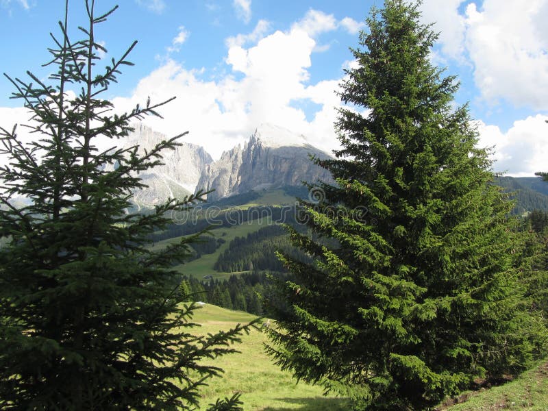 Panoramic mountain view of the italian Dolomites at summer . South Tyrol , Bolzano , Italy stock images Panoramic mountain view of the italian Dolomites at summer . South Tyrol , Bolzano , Italy stock images