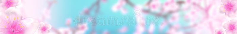 Panoramic Sakura Cherry Blossoms 468X60 Size Website Full Banner Background  Stock Illustration - Illustration Of Backdrop, Cherry: 173353040