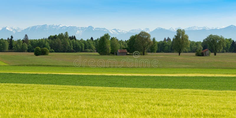Panoramic scenic Alpine view with fresh spring meadows and snowy mountain peaks stock image Panoramic scenic Alpine view with fresh spring meadows and snowy mountain peaks stock image