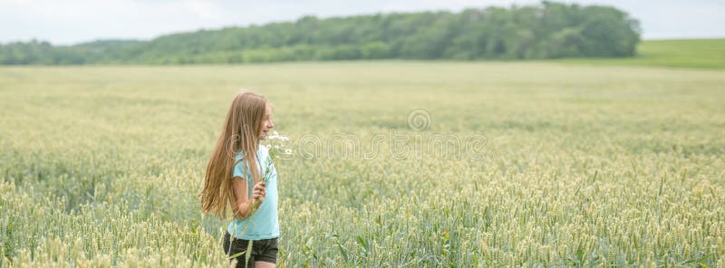 Panoramic shot of a girl in a field royalty free stock photography