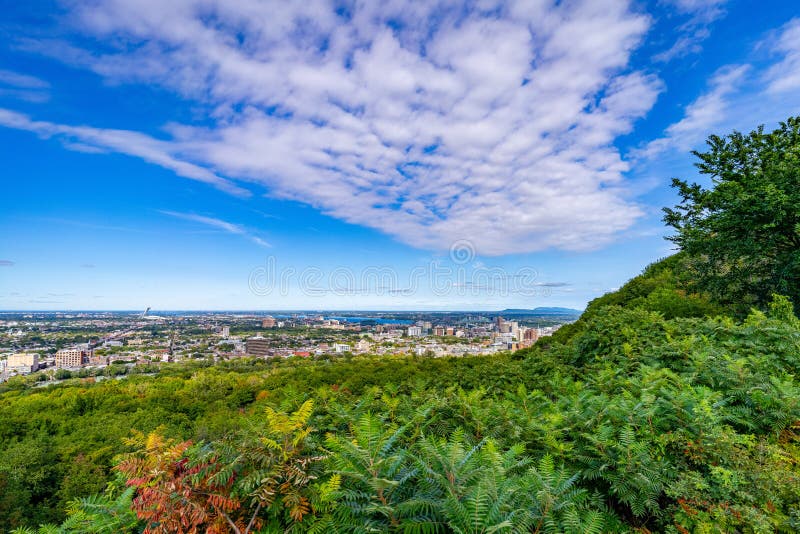Panoramic Skyline View from Mount Royal Hill at the Montreal City