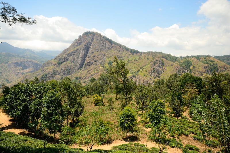 Panoramic view of Ella Rock, Sri Lanka stock image