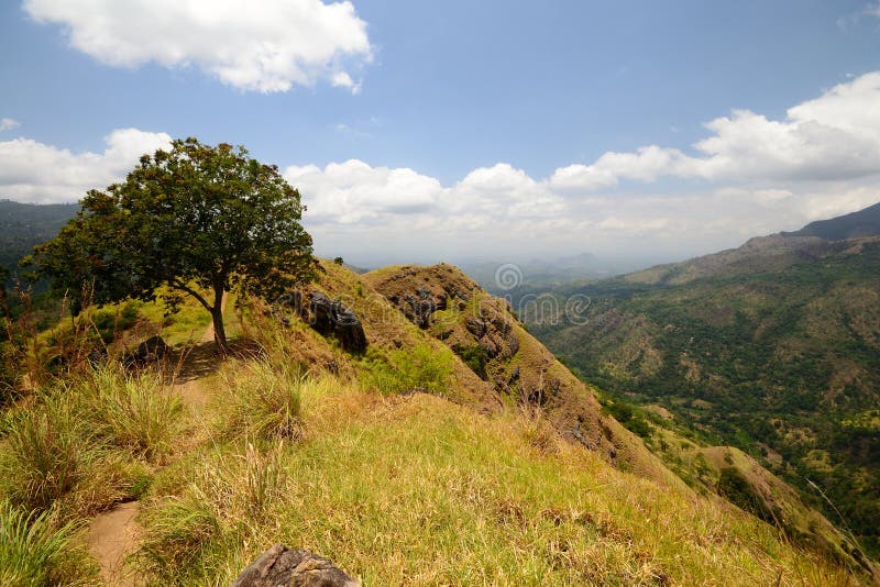 Panoramic view of Ella Rock, Sri Lanka