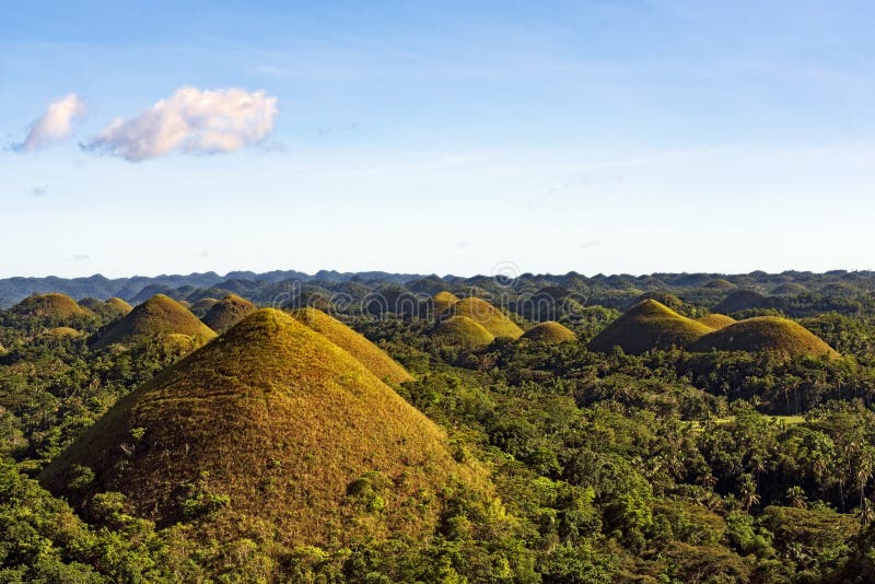 The Chocolate Hills in Bohol, Philippines Stock Image Image of