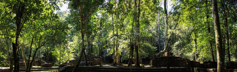 Panoramic view of half excavated ruins, Palenque, Chiapas