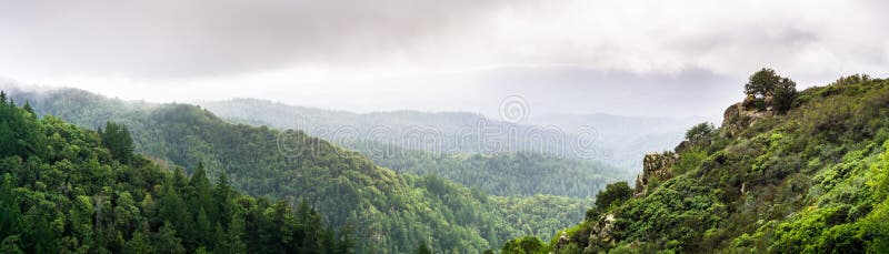 Panoramic view of the hills and canyons covered in evergreen trees on a foggy day, Santa Cruz mountains, San Francisco bay area, California