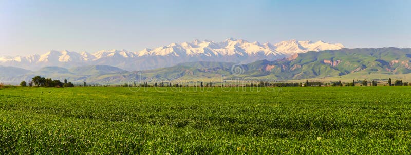 Mountain landscape. Fresh green meadows at sunrise in springtime, mountains lit by the rising sun stock image Mountain landscape. Fresh green meadows at sunrise in springtime, mountains lit by the rising sun stock image