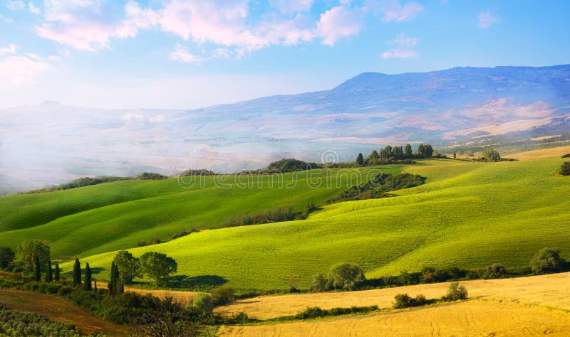 Panoramic view of Italian Tuscany landscape of wheat field, green and yellow farmland hills